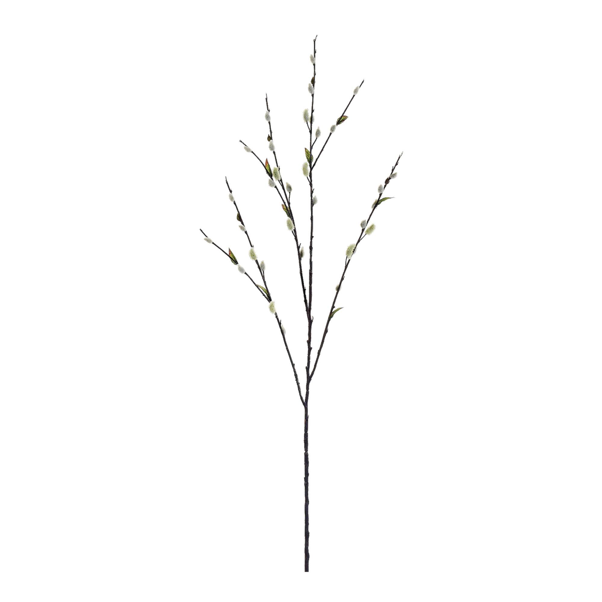 Pussy Willow Spray